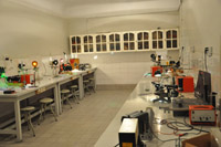AWT IMAGE